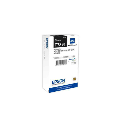 Epson C13t789140 Cartucho De Impressão T7891 Xxl Preto 4.000 Páginas