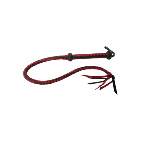 Ballgag : Premium Red And Black Leather Whip