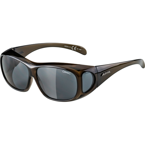 Sunglasses Alpina Overview