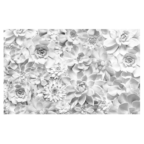 Papel De Parede Foto Não Tecido - Tons Preto E Branco - Tamanho 400 X 250 Cm